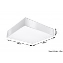 Plafonas HORUS 45 baltas - 5 - 73,33 €
