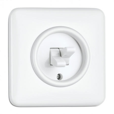 THPG svirtelinis duroplasto dviejų grupių jungiklis su kvadratiniu rėmeliu