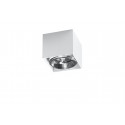 Plafonas BLAKE baltas - 2 - 25,89 €