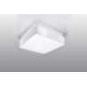 Sieninis šviestuvas HORUS baltas - 3 - 47,40 €