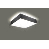 Sieninis šviestuvas HORUS pilkas - 2 - 52,38 €
