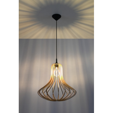 Pakabinamas šviestuvas ELZA - 3 - 59,77 €