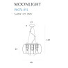 Pakabinamas šviestuvas MOONLIGHT - 3 - 177,20 €