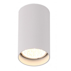 Lubinis šviestuvas PET ROUND NEW baltas - 1 - 15,11 €