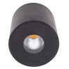 Plafonas PLAZMA juodas IP54 - 2 - 72,09 €