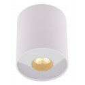 Plafonas PLAZMA baltas IP54 - 1 - 72,09 €