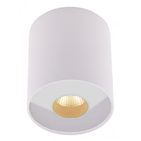 Plafonas PLAZMA baltas IP54 - 1 - 72,09 €