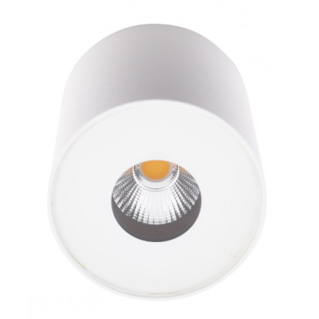 Plafonas PLAZMA baltas IP54 - 2 - 72,09 €