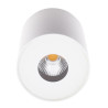 Plafonas PLAZMA baltas IP54 - 2 - 72,09 €