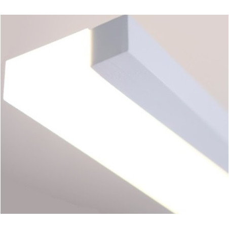 Sieninis šviestuvas RAPID - 2 - 175,81 €