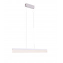 Pakabinamas šviestuvas RAPID, DIM - 1 - 220,22 €