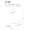 Pakabinamas šviestuvas RAPID, DIM - 4 - 220,22 €