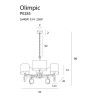 Pakabinamas šviestuvas OLIMPIC - 4 - 330,22 €