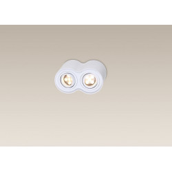 Lubinis šviestuvas BASIC ROUND baltas dvigubas - 2 - 49,30 €