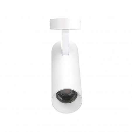 Lubiniai šviestuvai - Lubinis šviestuvas SHINEMAKER baltas - 112,17 €